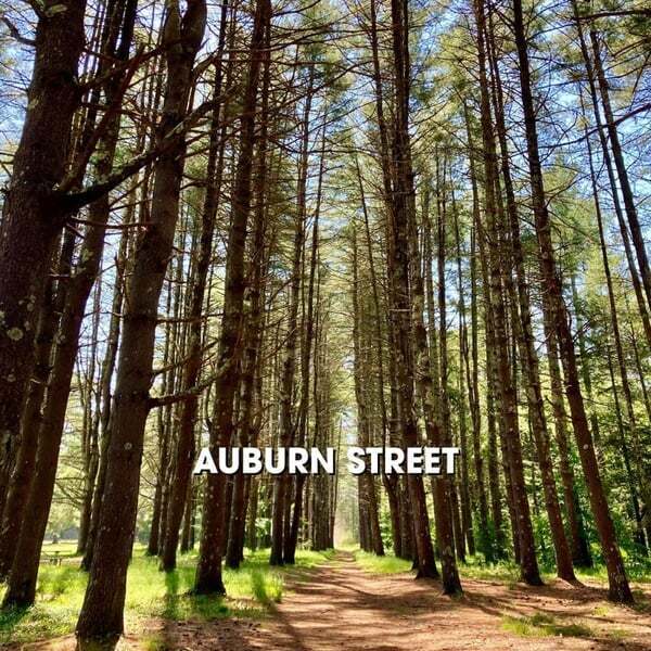 Cover art for Auburn Street