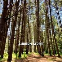Auburn Street